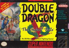 Double dragon 5 Manual (damaged)