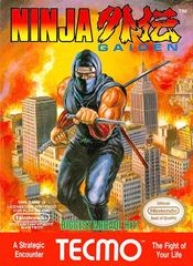 Ninja gaiden C